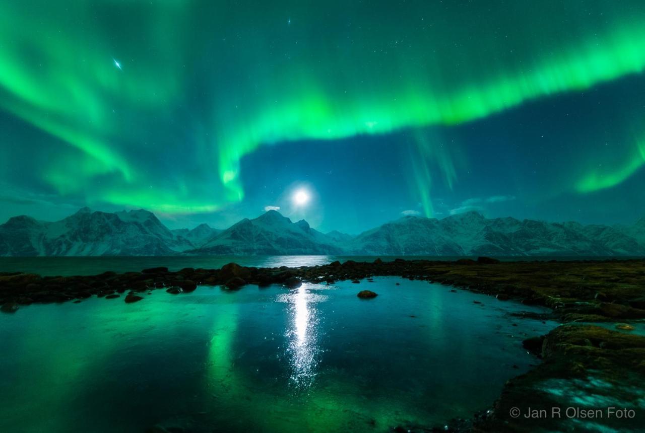 Ferienwohnung Lyngenfjord,Odins Hus Olderdalen Exterior foto