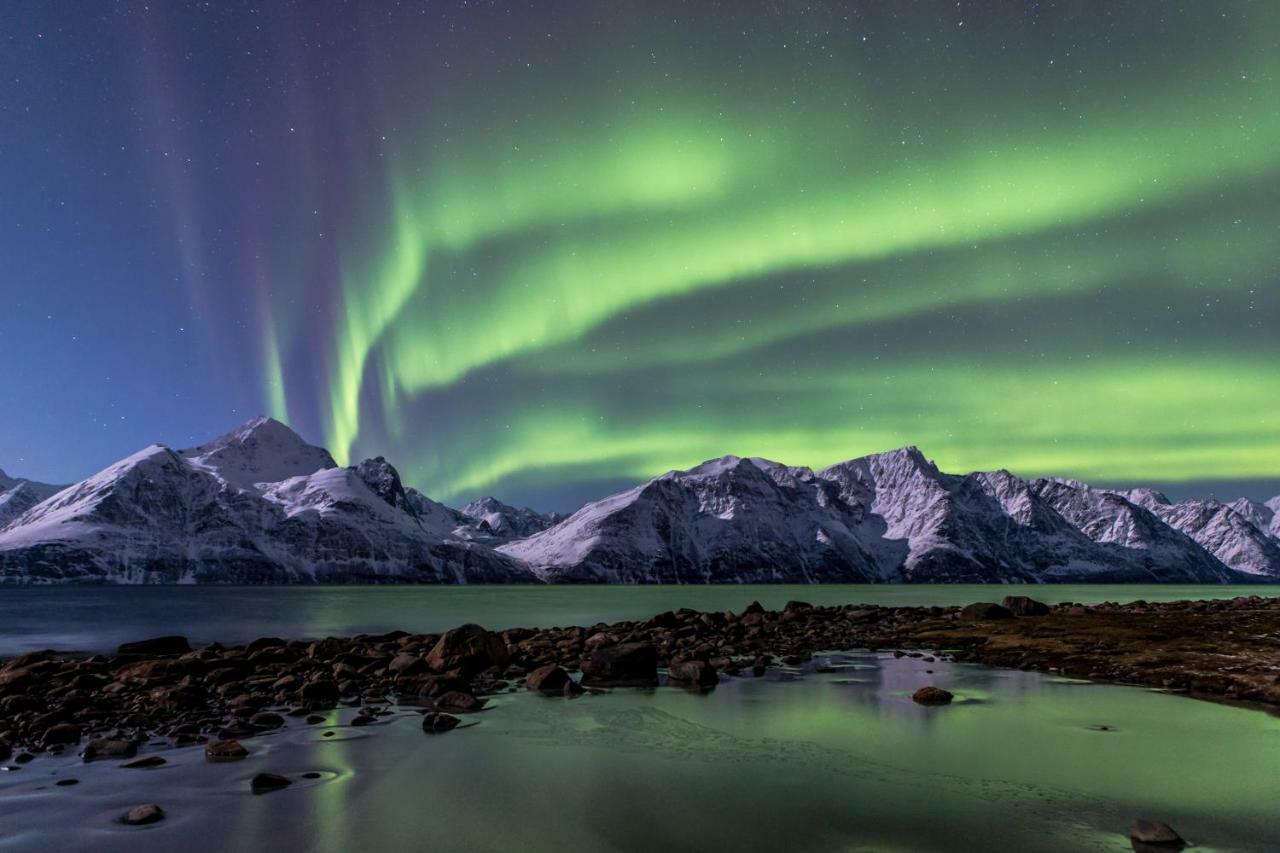Ferienwohnung Lyngenfjord,Odins Hus Olderdalen Exterior foto