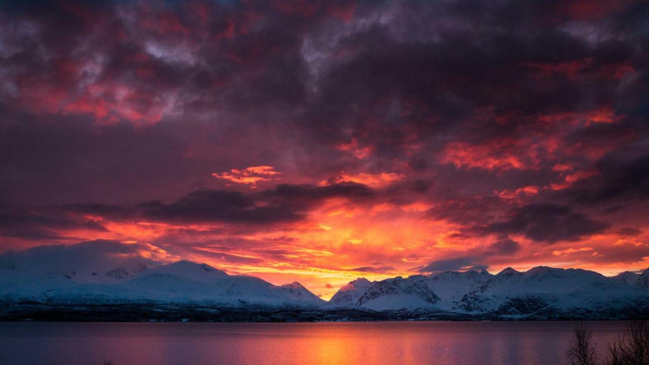 Ferienwohnung Lyngenfjord,Odins Hus Olderdalen Exterior foto