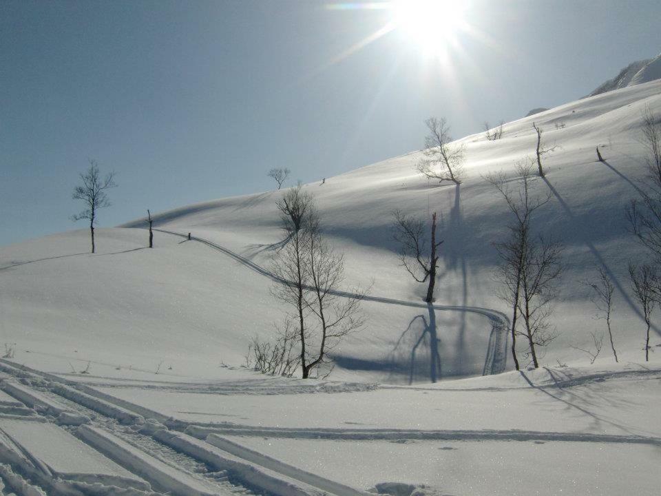 Ferienwohnung Lyngenfjord,Odins Hus Olderdalen Exterior foto