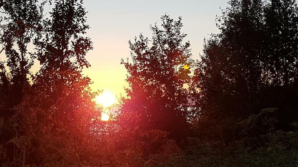 Ferienwohnung Lyngenfjord,Odins Hus Olderdalen Exterior foto
